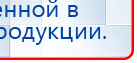 СКЭНАР-1-НТ (исполнение 01)  купить в Челябинске, Аппараты Скэнар купить в Челябинске, Скэнар официальный сайт - denasvertebra.ru